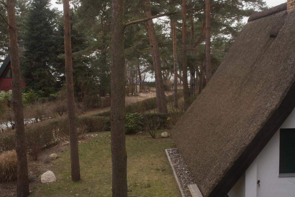 Reetdach-Ferienhaus In Quilitz Rankwitz エクステリア 写真